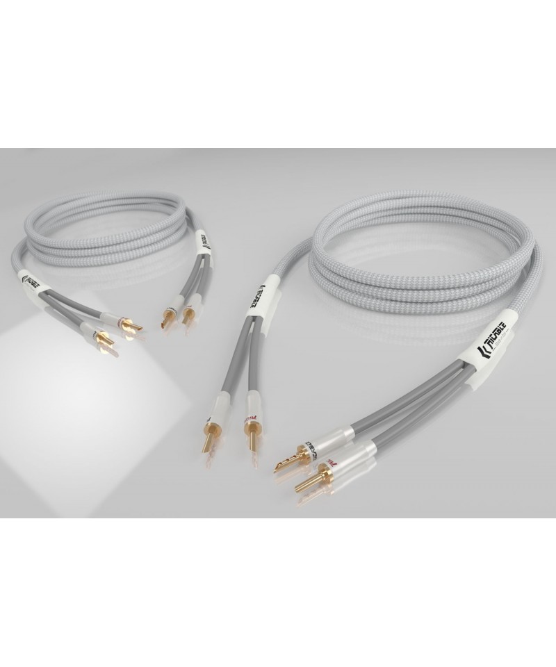 RICABLE PS3 MKII PRIMUS 3MT COPPIA CAVI DI POTENZA GARANZIA UFFICIALE