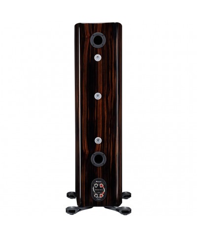 MONITOR AUDIO PLATINUM 300 3G COPPIA DIFFUSORI DA PAVIMENTO GARANZIA UFFICIALE