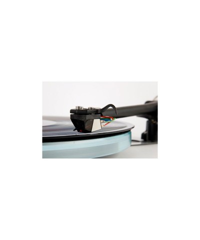 REGA ND 5 TESTINA MM CON MAGNETE AL NEODIMIO GARANZIA UFFICIALE