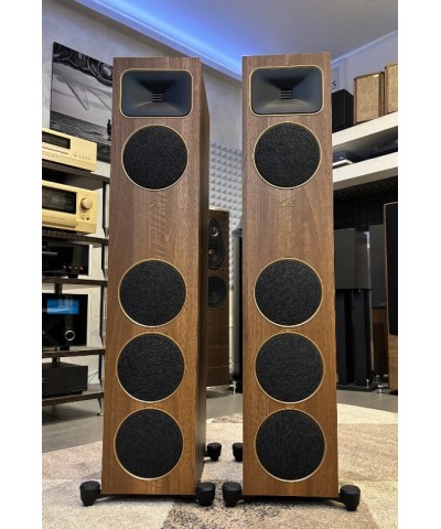 MARTIN LOGAN FOUNDATION F1 WALNUT COPPIA DIFFUSORI DA PAVIMENTO USATI