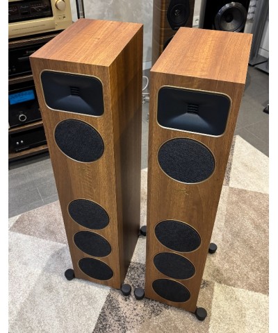 MARTIN LOGAN FOUNDATION F1 WALNUT COPPIA DIFFUSORI DA PAVIMENTO USATI