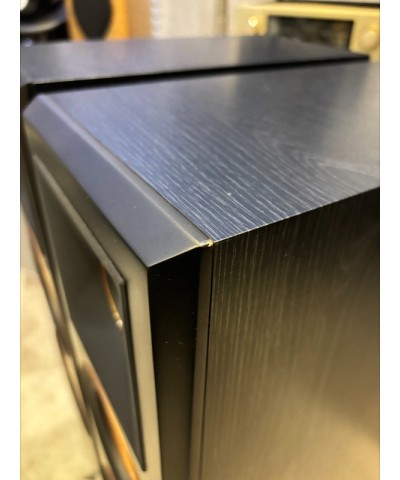 KLIPSCH RP 6000 EBONY COPPIA DIFFUSORI DA PAVIMENTO USATI