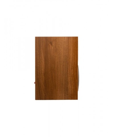 MARTIN LOGAN FOUNDATION B1 COPPIA DIFFUSORI DA LIBRERIA GARANZIA UFFICIALE