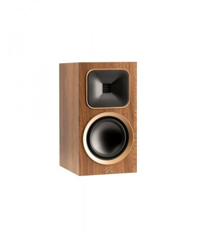 MARTIN LOGAN FOUNDATION B1 COPPIA DIFFUSORI DA LIBRERIA GARANZIA UFFICIALE