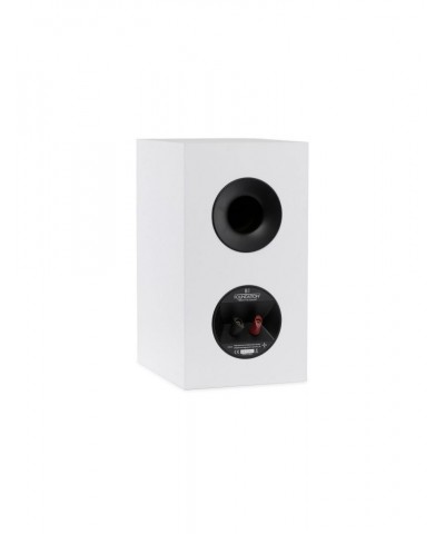 MARTIN LOGAN FOUNDATION B1 COPPIA DIFFUSORI DA LIBRERIA GARANZIA UFFICIALE