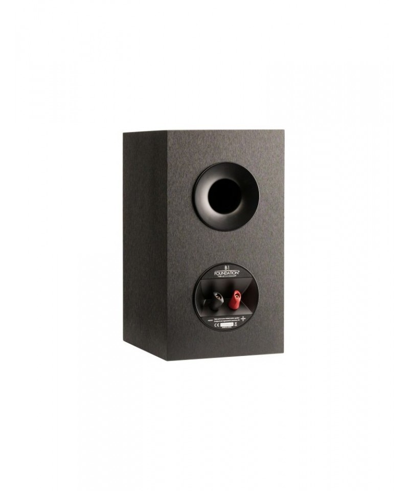 MARTIN LOGAN FOUNDATION B1 COPPIA DIFFUSORI DA LIBRERIA GARANZIA UFFICIALE
