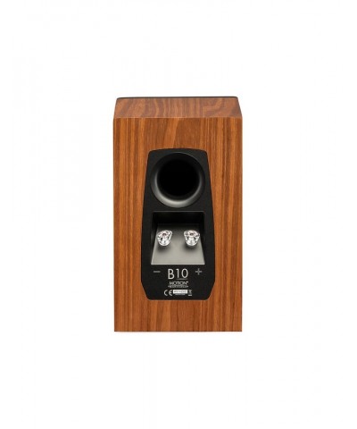 MARTIN LOGAN MOTION B10 COPPIA DIFFUSORI DA LIBRERIA GARANZIA UFFICIALE