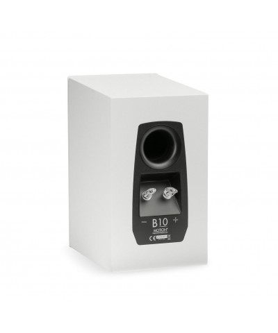 MARTIN LOGAN MOTION B10 COPPIA DIFFUSORI DA LIBRERIA GARANZIA UFFICIALE