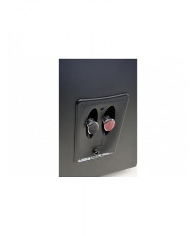 MARTIN LOGAN ELECTROMOTION ESL NERO OPACO COPPIA DIFFUSORI DA PAVIMENTO GARANZIA UFFICIALE
