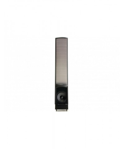 MARTIN LOGAN ELECTROMOTION ESL NERO OPACO COPPIA DIFFUSORI DA PAVIMENTO GARANZIA UFFICIALE