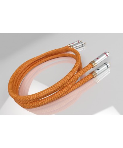 RICABLE DR2 DEDALUS SIGNAL 2MT COPPIA CAVI DI SEGNALE RCA GARANZIA UFFICIALE