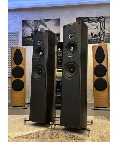 SONUS FABER OLYMPICA II GRAPHITE COPPIA DIFFUSORI USATI