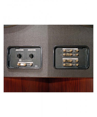 JBL EVEREST DD67000 ROSEWOOD COPPIA DIFFUSORI HIEND GARANZIA UFFICIALE