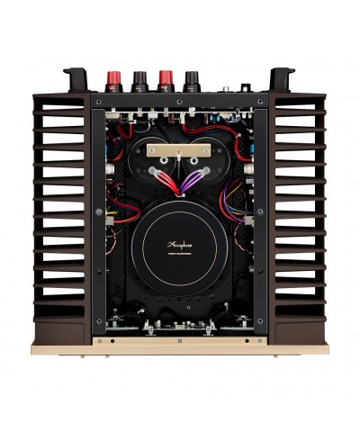 ACCUPHASE A 48S FINALE DI POTENZA STEREO IN CLASSE A GARANZIA UFFICIALE