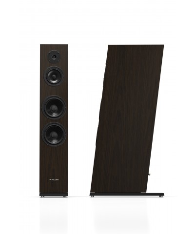 PYLON DIAMOND 30 MK II COPPIA DIFFUSORI DA PAVIEMNTO GARANZIA UFFICIALE