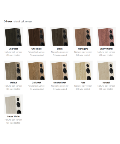 PYLON DIAMOND 30 MK II COPPIA DIFFUSORI DA PAVIEMNTO GARANZIA UFFICIALE