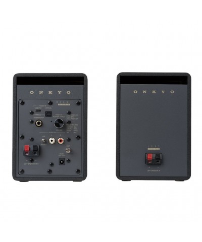 ONKYO CREATOR GX-10DB COPPIA DIFFUSORI AMPLIFICATI NUOVI GARANZIA UFFICIALE