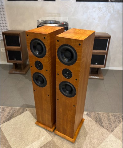 PROAC RESPONSE D 38 COPPIA DIFFUSORI HI-END USATI