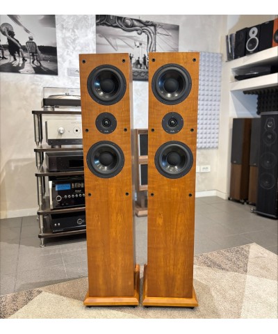 PROAC RESPONSE D 38 COPPIA DIFFUSORI HI-END USATI