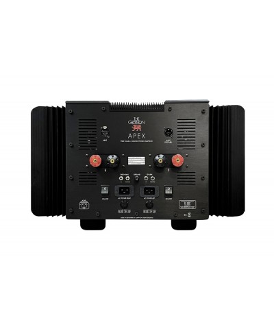 GRYPHON APEX MONO AMPLIFICATORE FINALE MONOFONICO IN CLASSE A GARANZIA UFFICIALE