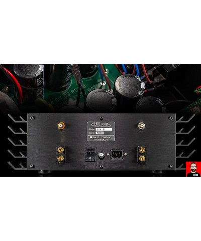 PASS LABS FIRST WATT SIT-4 AMPLIFICATORE STEREO IN CLASSE A GARANZIA UFFICIALE