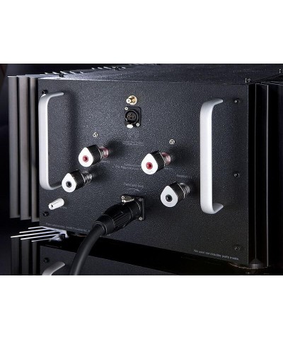 PASS LABS XS 300 AMPLIFICATORE MONOFONICO IN PURA CLASSE A GARANZIA UFFICIALE