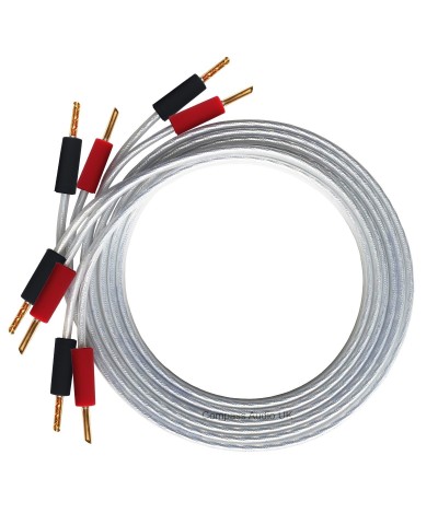 QED PERFORMANCE XT25 3MT COPPIA CAVO DIFFUSORI SPEAKER CABLE GARANZIA UFFICIAL