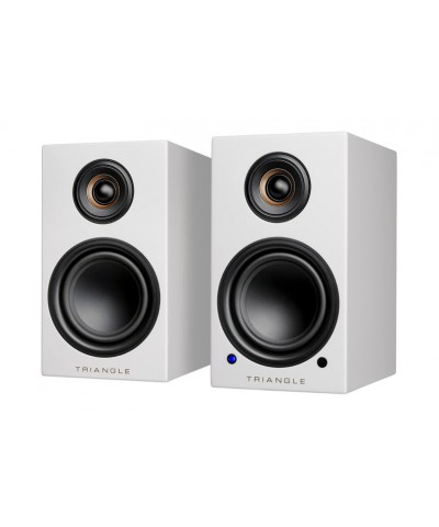 TRIANGLE ELARA LN01A COPPIA DIFFUSORI DA LIBRERIA AMPLIFICATI GARANZIA UFFICIALE