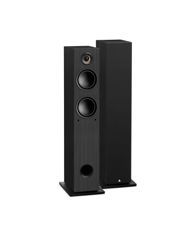 TRIANGLE ELARA LN05A COPPIA DIFFUSORI DA PAVIMENTO ATTIVI GARANZIA UFFICIALE