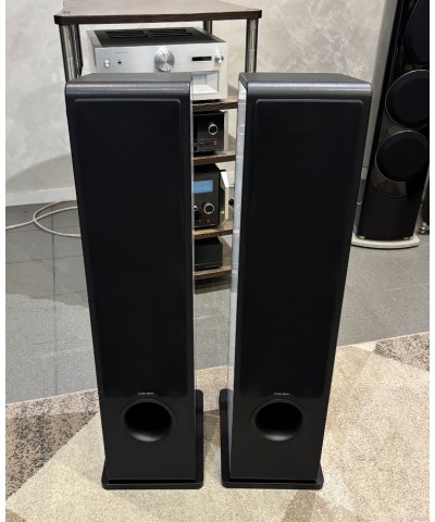SONUS FABER CHAMELEON T COPPIA DIFFUSORI DA PAVIMENTO USATI