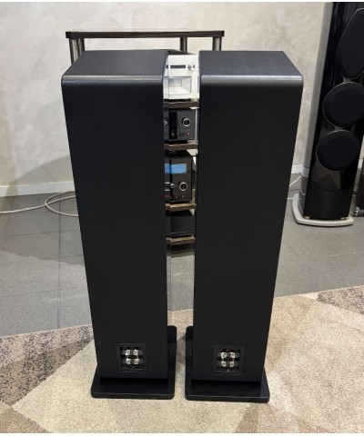 SONUS FABER CHAMELEON T COPPIA DIFFUSORI DA PAVIMENTO USATI