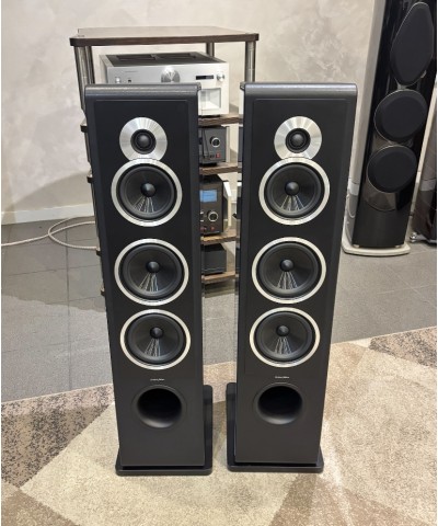 SONUS FABER CHAMELEON T COPPIA DIFFUSORI DA PAVIMENTO USATI