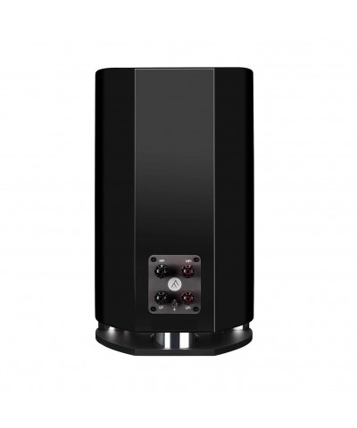 FYNE AUDIO F701SP COPPIA DIFFUSORI DA LIBRERIA GARANZIA UFFICIALE