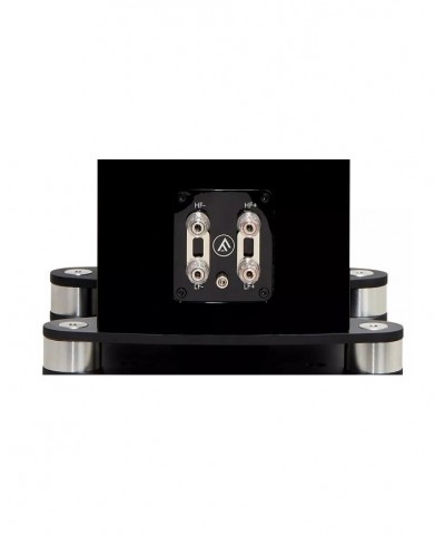 FYNE AUDIO F502SP COPPIA DIFFUSORI DA PAVIMENTO GARANZIA UFFICIALE