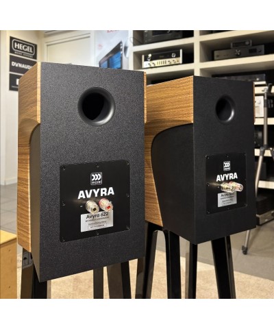 MOREL AVYRA 662 WALNUT DEMO COPPIA DIFFUSORI DA LIBRERIA GARANZIA UFFICIALE