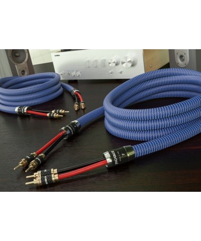 RICABLE RS2 INVICTUS REFERENCE 2MT COPPIA CAVI DI POTENZA GARANZIA UFFICIALE