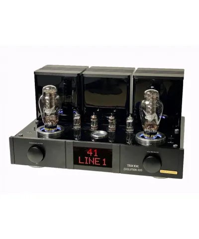 TRIODE EVOLUTION 300 30TH ANNIVERSARY AMPLIFICATORE A VALVOLE NUOVO GARANZIA UFFICIALE