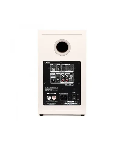 TRIANGLE BOREA BR02 CONNECT COPPIA DIFFUSORI ATTIVI NUOVO GARANZIA UFFICIALE