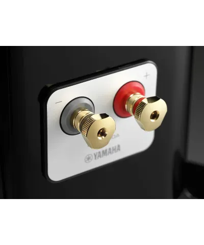 YAMAHA NS-2000A COPPIA DIFFUSORI DA PAVIMENTO GARANZIA UFFICIALE