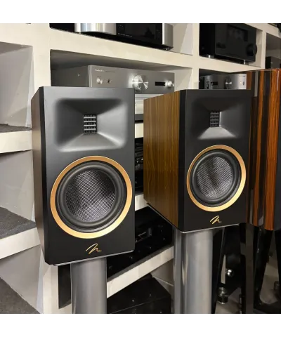 MARTIN LOGAN MOTION B10 WALNUT DEMO COPPIA DIFFUSORI DA LIBRERIA GARANZIA UFFICIALE
