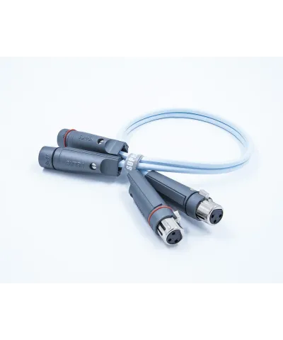 SUPRA DUAL 2XLR 2XLR COPPIA CAVI XLR GARANZIA UFFICIALE