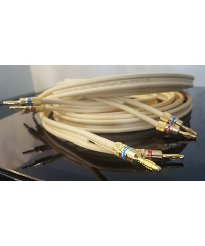 VAN DEN HUL CS 122 HYBRID COPPIA CAVO DI POTENZA GARANZIA UFFICIALE