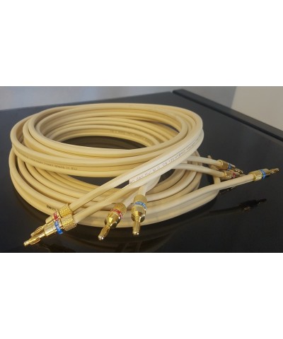 VAN DEN HUL CS 122 HYBRID COPPIA CAVO DI POTENZA GARANZIA UFFICIALE