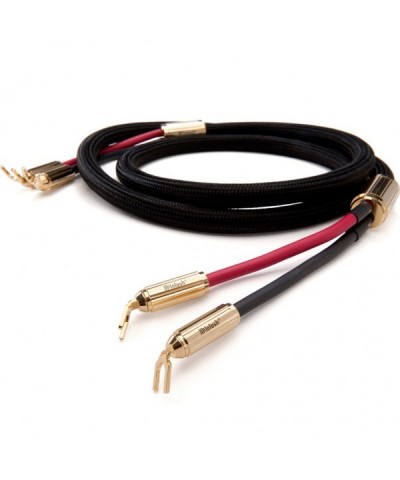 MCINTOSH CS SPK CAVI DI POTENZA PER DIFFUSORI GARANZIA UFFICIALE
